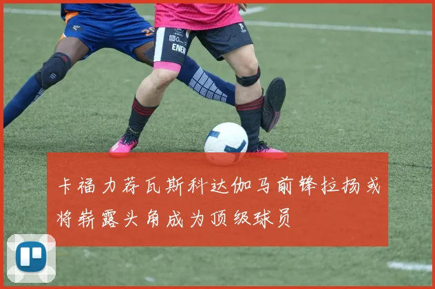 卡福力荐瓦斯科达伽马前锋拉扬或将崭露头角成为顶级球员