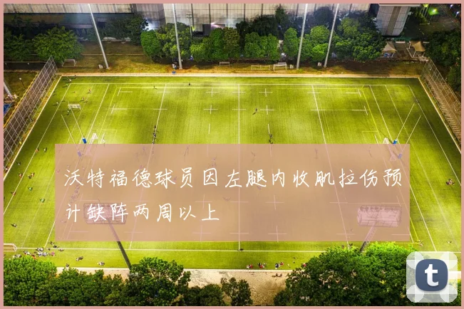 沃特福德球员因左腿内收肌拉伤预计缺阵两周以上