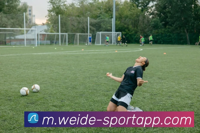 App Interface Preview