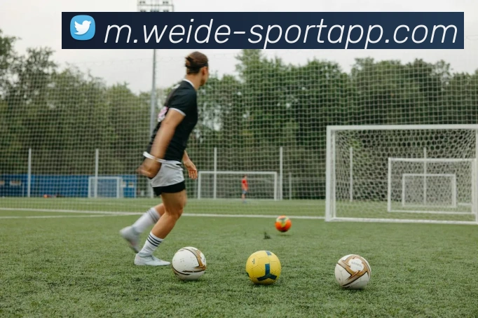 伟德体育APP 封面图